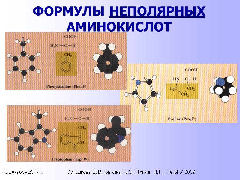 13 декабря 2017 г. Осташкова В. В., Зыкина Н. С., Нижник Я. П., ПетрГУ,